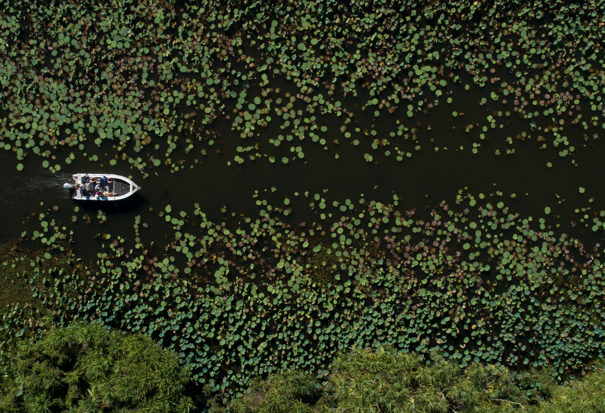 Aerial view of a fishing boat in a river