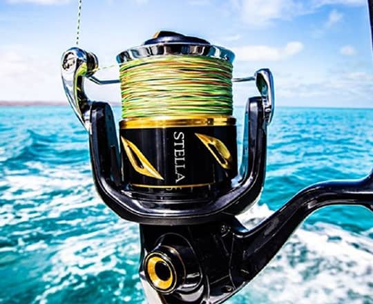 Shimano Tackle Pack